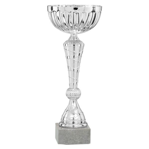 Pokal P.17