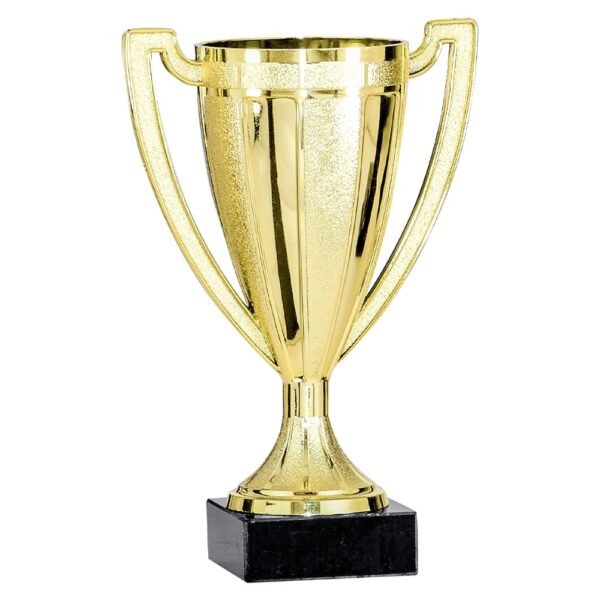 Pokal 0621