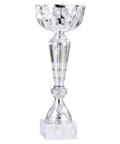 Pokal 1511