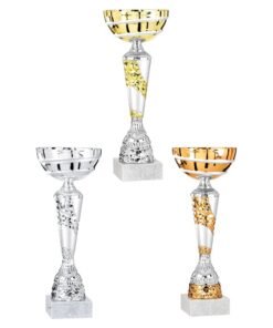 Pokal 1661