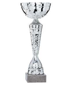Pokal 1981