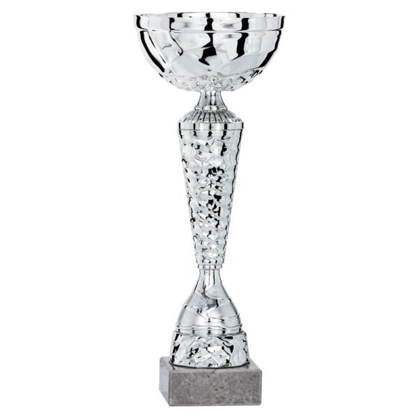 Pokal 1981