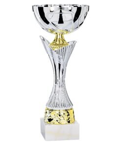 Pokal 2451