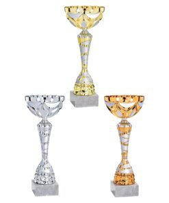 Pokal 2781