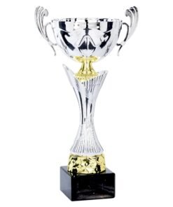 Pokal 4251