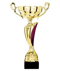 Pokal 4301