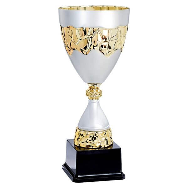 Pokal 4561
