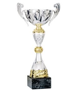 Pokal 4831