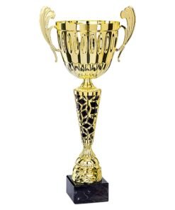 Pokal 5081