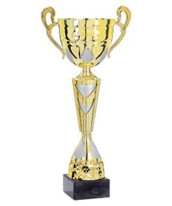 Pokal 5421
