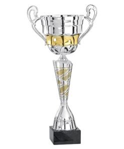 Pokal 5601
