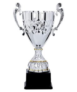 Pokal 5611