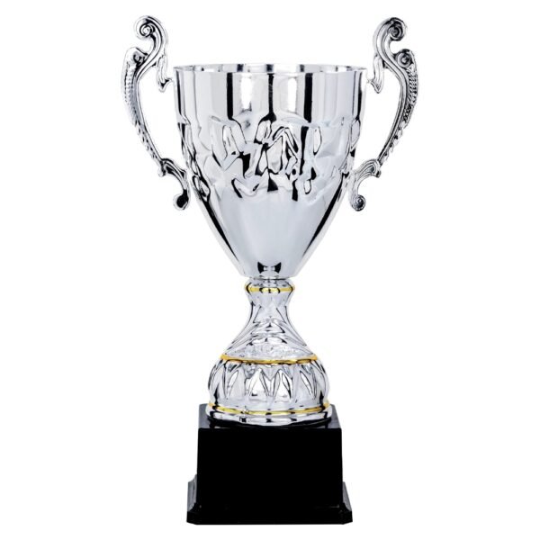 Pokal 5611