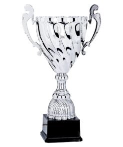 Pokal 5711