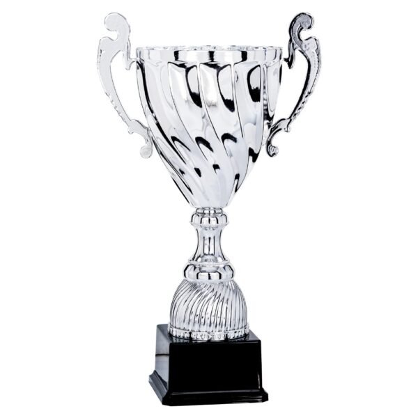 Pokal 5711