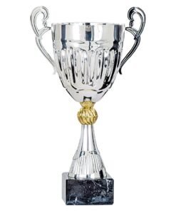 Pokal 5781