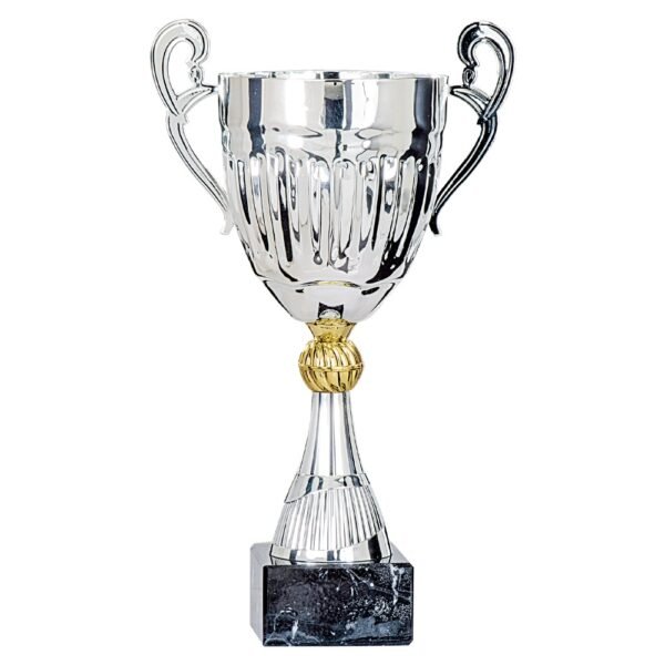 Pokal 5781