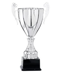 Pokal 5821