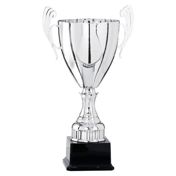 Pokal 5821