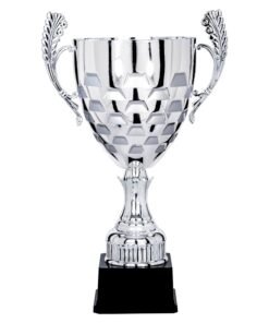 Pokal 5901