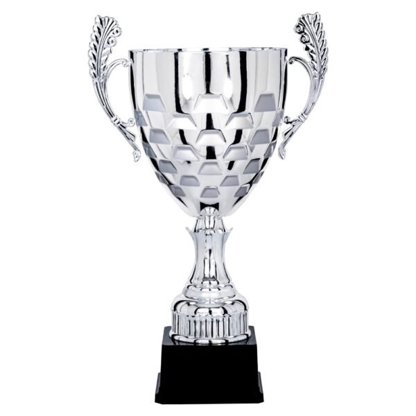 Pokal 5901