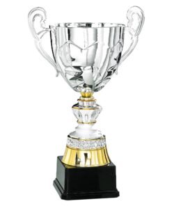 Pokal 6026