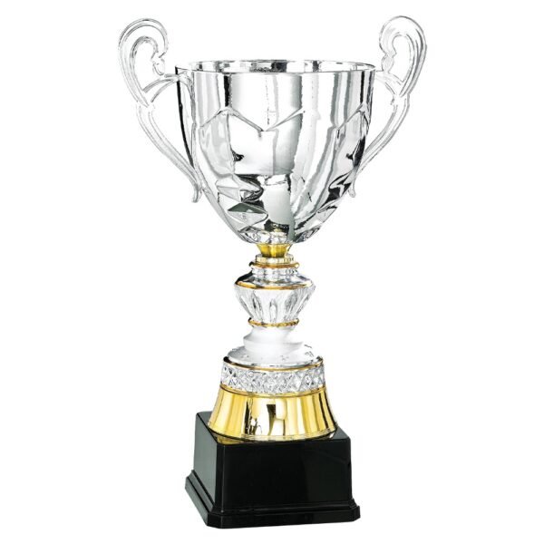 Pokal 6026