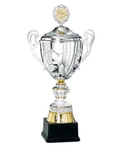 Pokal 6026W