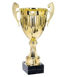 Pokal 6131