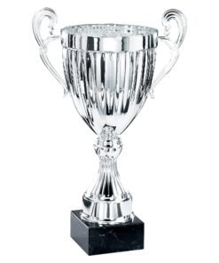 Pokal 6151