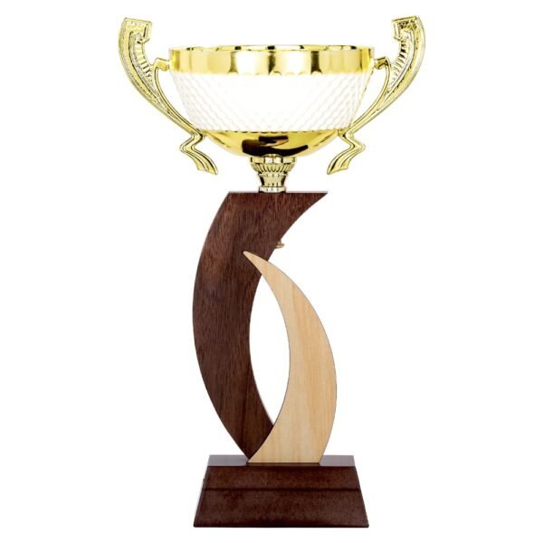 Pokal 6201