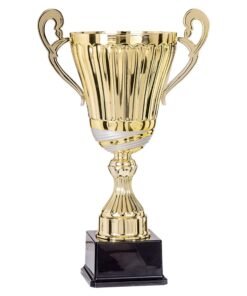 Pokal 6431