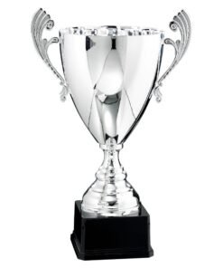 Pokal 6521