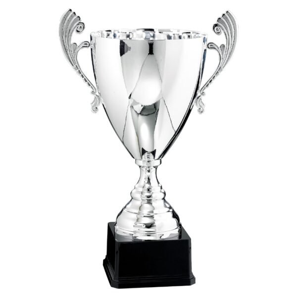 Pokal 6521