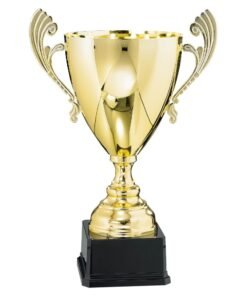 Pokal 6531