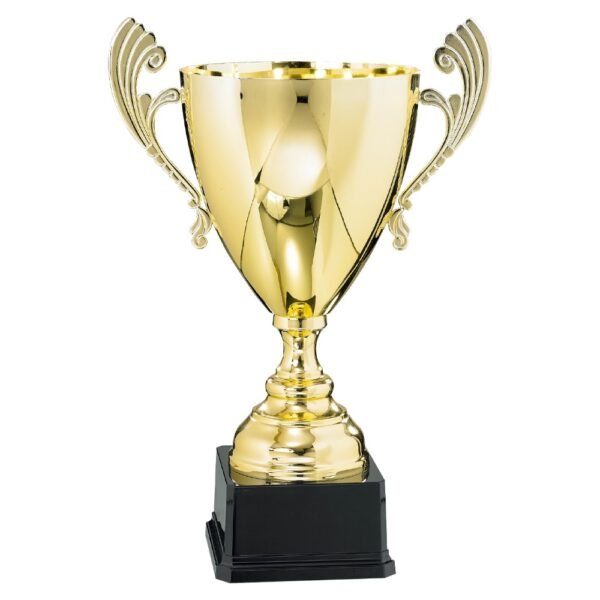 Pokal 6531