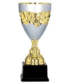 Pokal 6681