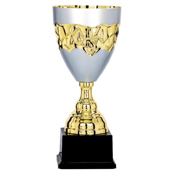 Pokal 6681
