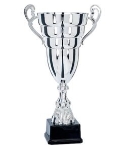 Pokal 6691