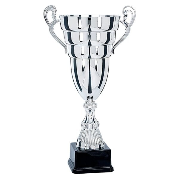 Pokal 6691