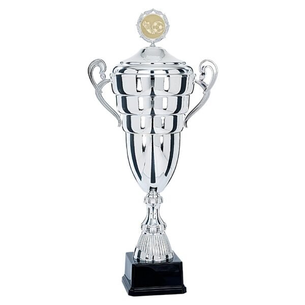 Pokal 6691W