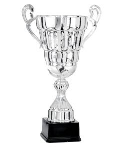 Pokal 6701