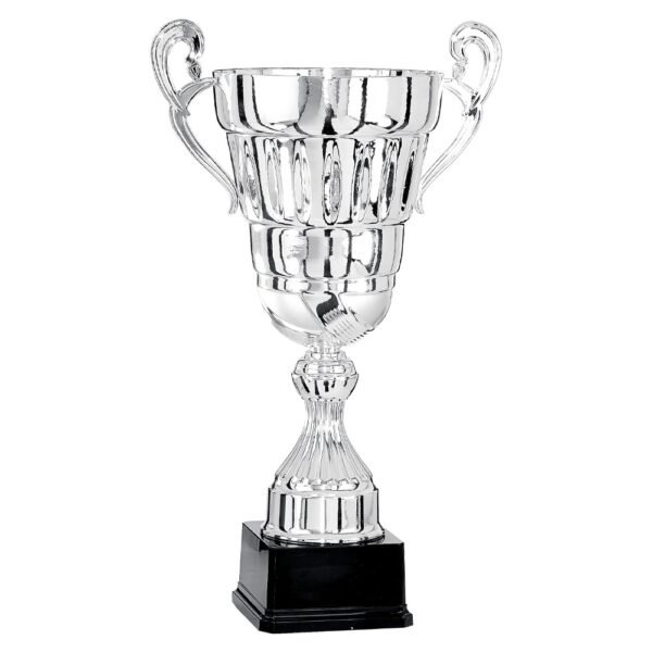 Pokal 6701