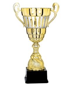 Pokal 6711