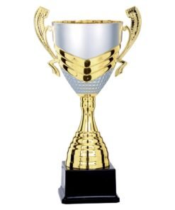 Pokal 6871
