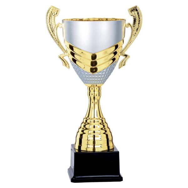 Pokal 6871