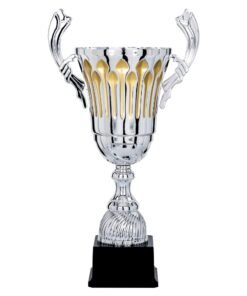 Pokal 6911