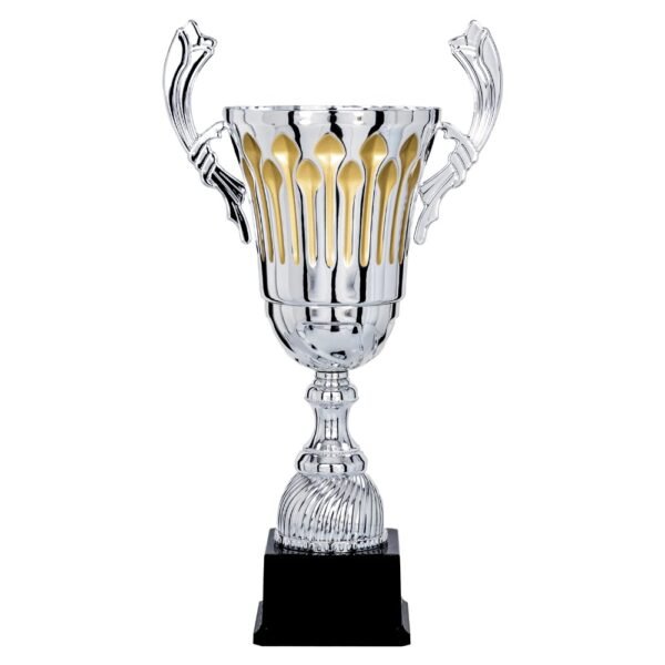 Pokal 6911